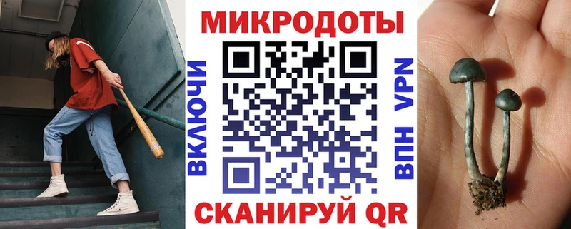 где купить наркоту  Ленинградская  Псилоцибиновые грибы мухоморы 
